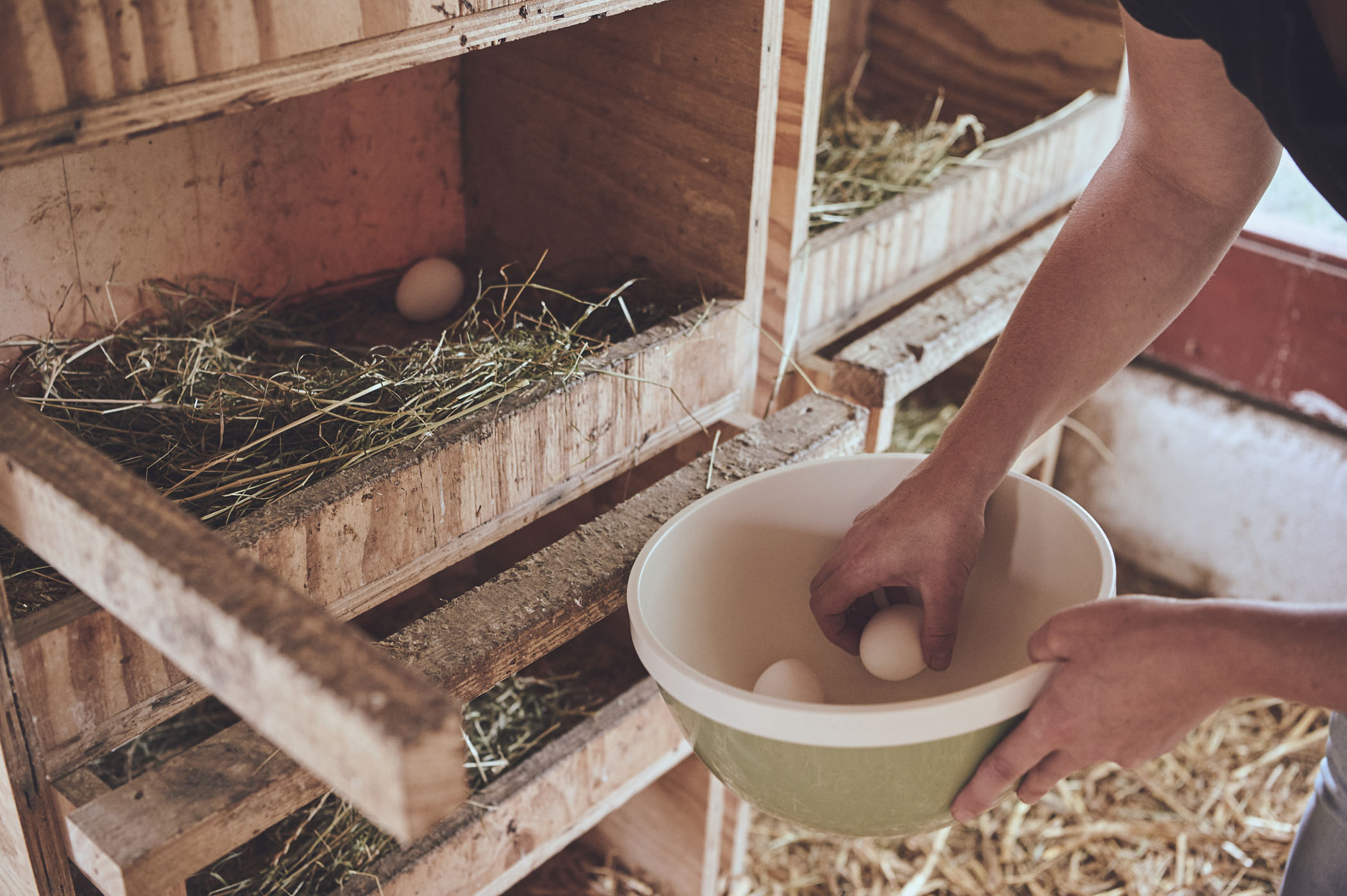 Hallo Hofleben Mit Farmmade Munich Geben Zwei Schwestern Einblicke In Ihr Nachhaltiges Leben 